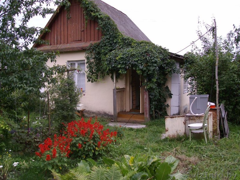 Подается дача в д. Теребень - Изображение #1, Объявление #501956