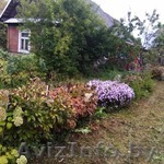 ул. Пролетарская,18 - Изображение #1, Объявление #1633614