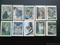 Спичечные коробки - Изображение #4, Объявление #528172