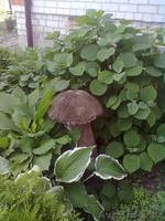 Декоративные грибы - Изображение #1, Объявление #669128