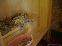 \"глу-у-у-ушь\", домик с баней,лес,речка,рыбалка-ПРИЕЗЖАЙТЕ! - Изображение #6, Объявление #888176