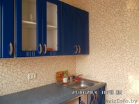 однокомнатная квартира по суткам - Изображение #4, Объявление #1174693