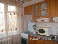 однокомнатная квартира по суткам квартира - Изображение #4, Объявление #1065524