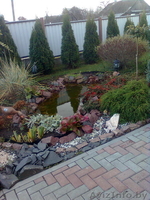 Ландшафтный дизайн вашего земельного участка в г. Иваново, сбыт многолетних и однолетних цветов по Пинску, тюльпаны на 8-е Марта - Изображение #1, Объявление #1407516