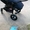 Срочно коляска детская состояние отличное - Изображение #3, Объявление #1063147