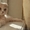 скоттиш фолд кот - Изображение #3, Объявление #1288613