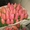 Тюльпаны,оптом ,в розницу - Изображение #3, Объявление #1369009