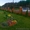 Ландшафтный дизайн вашего земельного участка в г. Иваново, сбыт многолетних и однолетних цветов по Пинску, тюльпаны на 8-е Марта - Изображение #5, Объявление #1407516