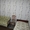 Сдам 2-х комнатную квартиру по суткам в Пинске - Изображение #2, Объявление #1235885