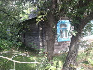 Участок 17соток с домом в д.Чернеевичи (ПИНСК) - Изображение #1, Объявление #1286409