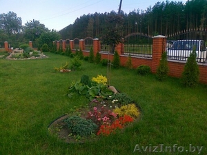 Ландшафтный дизайн вашего земельного участка в г. Иваново, сбыт многолетних и однолетних цветов по Пинску, тюльпаны на 8-е Марта - Изображение #5, Объявление #1407516