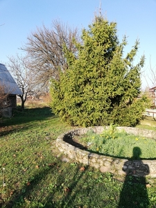 продам дом в деревне Галево - Изображение #1, Объявление #1647977