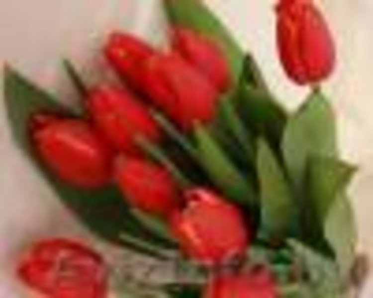 ПРОДАМ ТЮЛЬПАНЫ К 8 МАРТА!!! - Изображение #4, Объявление #832748