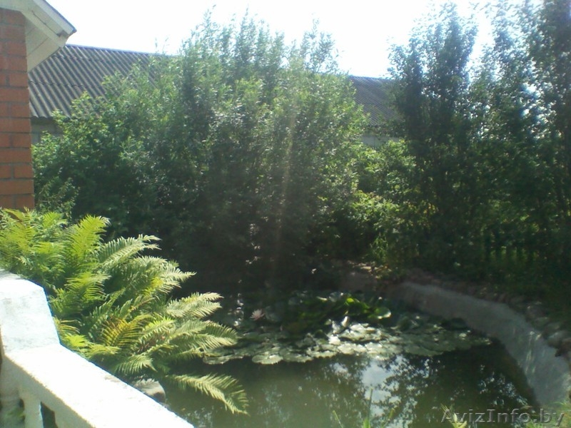 Жилой дом в Заполье - Изображение #6, Объявление #836890