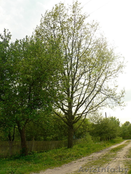 Дом в д. Суловы, Ивановский р-н - Изображение #4, Объявление #1187889