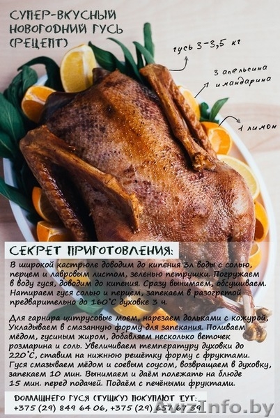 Гусь домашний (тушка) - Изображение #2, Объявление #1344193