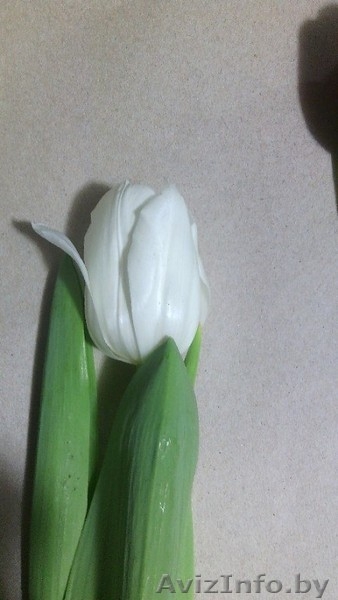 Тюльпаны оптом к 8 матра - Изображение #2, Объявление #1371507