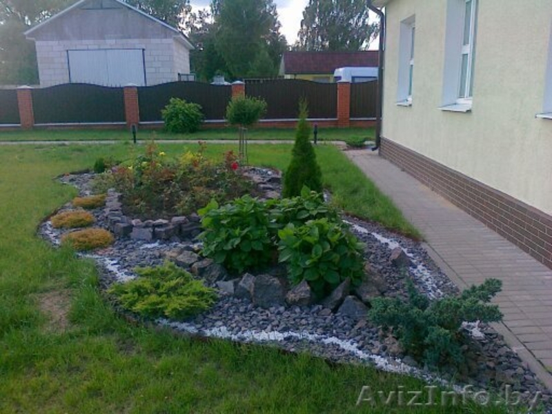 Ландшафтный дизайн вашего земельного участка в г. Иваново, сбыт многолетних и однолетних цветов по Пинску, тюльпаны на 8-е Марта - Изображение #2, Объявление #1407516