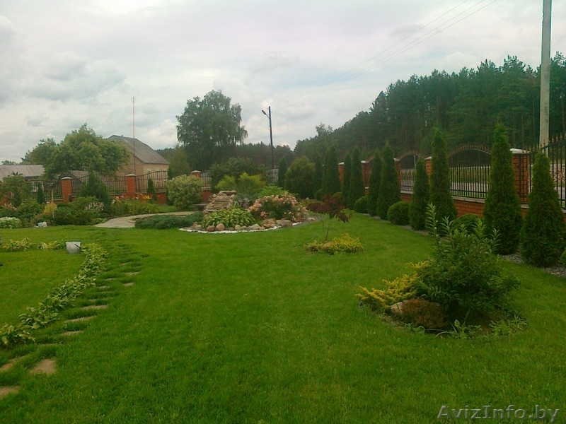 Ландшафтный дизайн вашего земельного участка в г. Иваново, сбыт многолетних и однолетних цветов по Пинску, тюльпаны на 8-е Марта - Изображение #3, Объявление #1407516