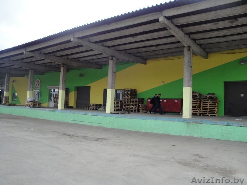 Аренда склада-магазина в г. Пинск 200-600 м2 - Изображение #4, Объявление #1486327