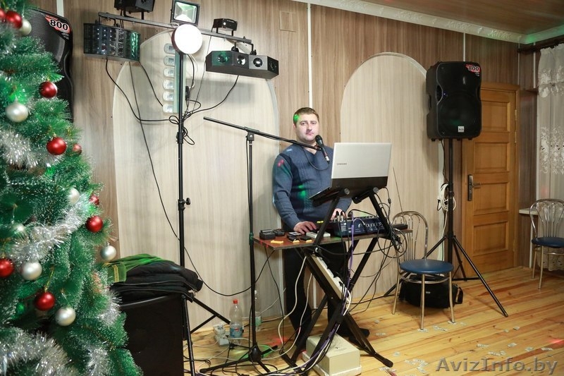 Тамада, музыка, спец. эффекты, свет и прочее - Изображение #2, Объявление #1548119